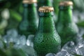 Closeup of green beer bottles getting cool in ice Royalty Free Stock Photo