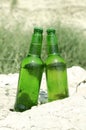 Vertical image.Two green bottle of beer on the rocks against plant.Hot day and cold drinks Royalty Free Stock Photo