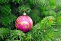 Closeup of Green Christmas tree and pink ball Royalty Free Stock Photo