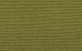 Closeup green color fabric sample texture backdrop.Green Fabric strip line pattern design,upholstery,textile for decoration interi Royalty Free Stock Photo