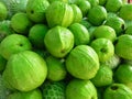 Closeup of green fruit guava