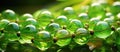 Closeup of green glass beads resembling terrestrial plant on table Royalty Free Stock Photo