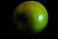 Closeup of green granny smith apple on black background Royalty Free Stock Photo