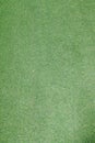 Closeup of green grass background texture top view Royalty Free Stock Photo