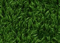 Closeup of a green grass field with lots of cinema faces on the