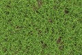 Closeup green grass texture background. Nature and environment backdrop concept. 3D illustration rendering