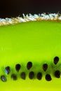 Closeup of Green Kiwi Fruit Slice