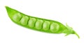 Closeup of green pea pod with beans isolated on a white background. Royalty Free Stock Photo