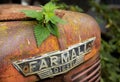 Closeup of green plants growing on old rusty tractor