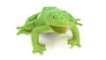 Closeup of green rubber frog toy on white background. Royalty Free Stock Photo