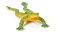 Closeup of green rubber frog toy on white background. Royalty Free Stock Photo