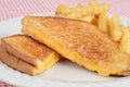 Closeup grilled cheese sandwich with fries