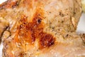 Closeup of grilled chocken leg. Royalty Free Stock Photo