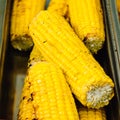 Closeup grilled corn vegetable food background Royalty Free Stock Photo