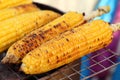 Closeup grilled corn vegetable food background Royalty Free Stock Photo