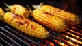 Closeup grilled corn vegetable food background. Corn on grill Royalty Free Stock Photo