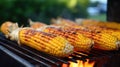 Closeup grilled corn vegetable food background. Corn on grill Royalty Free Stock Photo
