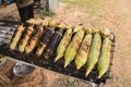 Closeup grilled corn vegetable food