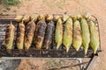 Closeup grilled corn vegetable food