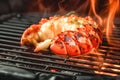 Closeup Grilled Lobster Tail Delight on the BBQ.