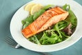 Closeup of Grilled Salmon Fillet with Green Beans Royalty Free Stock Photo