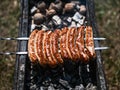 Closeup grilled sausages browning on grill outdoors. Royalty Free Stock Photo