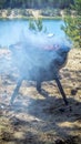 Closeup of grilled sliced sausages Royalty Free Stock Photo