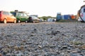 Closeup on the ground of a campsite or camping ground in the dunes of holland Royalty Free Stock Photo