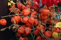 Closeup of groundcherries, twigs with fruits