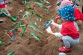 Closeup group of Asian school kids learn to plant tree seeds on sand outdoor