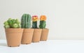 Closeup group of beautiful cactus in brown plastic pot for decorate on blurred white wooden desk and cream color wallpaper wall te Royalty Free Stock Photo