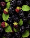 Closeup of group of delicious blackberries and green leafs