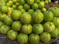 Closeup group of green guava fruit fresh and ripe in market retail