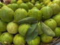 Closeup group of green guava fruit fresh and ripe in market retail