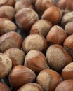 Closeup of a group of hazelnuts in narrow focus