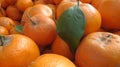 Closeup of group of oranges Royalty Free Stock Photo