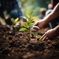 Closeup group planting trees in the garden