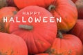 group of pumpkins, Happy Halloween card Royalty Free Stock Photo