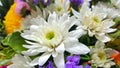 Closeup of group of various flowers