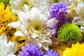 Closeup of group of various flowers