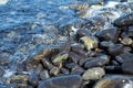 Closeup group of wet polished stones and pebbles were surfed by the sea Royalty Free Stock Photo