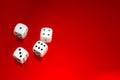 Closeup of a group of white dice on a red reflective surface Royalty Free Stock Photo