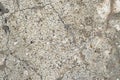 Grunge Concrete Cracks Texture