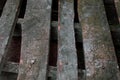 Closeup of grunge dark wood background with rusty nails. wooden texture. surface vintage tone. old hammered boards