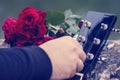 Closeup of guitar headstock and bouquet of red roses