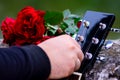 Closeup of guitar headstock and bouquet of red roses Royalty Free Stock Photo