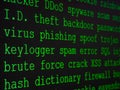 Hacker`s dictionary displayed on the computer screen Royalty Free Stock Photo