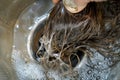 closeup of hair clog being pulled from drain