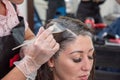 Closeup hair coloring of a brunette woman in a beauty salon. Master hairdresser at work Royalty Free Stock Photo