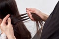 Closeup of hair dresser combing client`s hair in salon Royalty Free Stock Photo